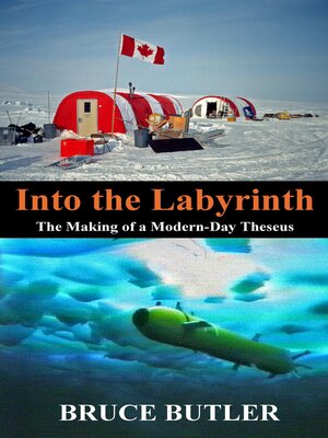 cover image of Into the Labyrinth